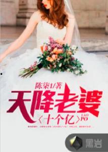 天降老婆,一场意外的甜蜜邂逅